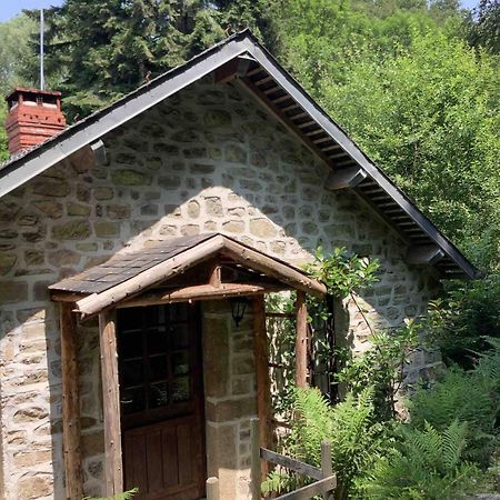 Woodland Cottage Faux-la-Montagne Εξωτερικό φωτογραφία